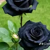 la12345kr