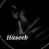 haseebali1868
