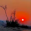 shanyaxan2222