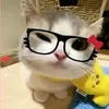 tuan.thuc.khuya