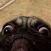 dhellicious8