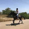 jacquiholmes3812
