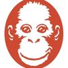 Orangutan Survival