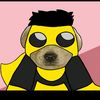 boni_t101