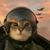 ranawaywithkittens