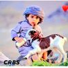 moha_posts