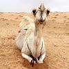 عيسى الـعازمي
