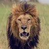 nassim_riyad