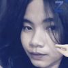 butterfly_15291