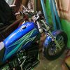 tgh.dwiann