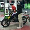 cibul_26