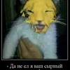 sirok_29
