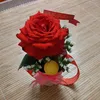 khang31082019