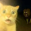 whomightube