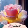 user4255233150532