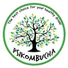 PsiKOmbucha