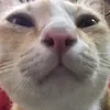 kwuynhisnice