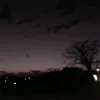 sousass_7