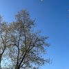 thecloudintheskai