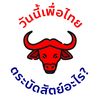วันนี้เพื่อไทยโกหกอะไร