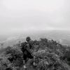 wanswndi156