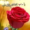 ymfofo7