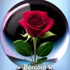 assitankonate99457337