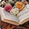 dy6k9uczt4sn