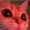 user1387024445677