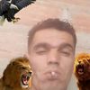 soloalgi223bskra1