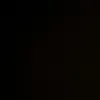 spider.musti