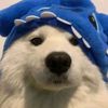 random_user_191
