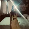llaura.ssp