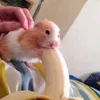 denis___6718