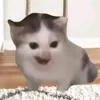 nectarofsunshine