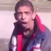 bygubygule