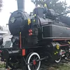 nenadveselinovic7