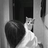 missenglish4