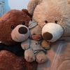 wedabestbears