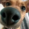 kevinapaza001