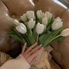 yousraqueen01