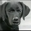 coeurdebebe1