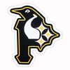 pittsburghfan2026