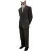 ezra_ezra_ezra