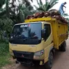 _siregar26_