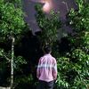 tanvirkhan7209