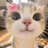 slalu.niaa