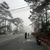 t_anh_le