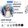 dalin.leap8