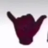 te_noli_gi